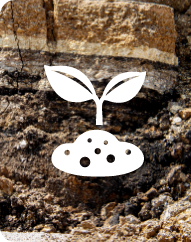 White sprouting plant and soil icon over a rocky ground background