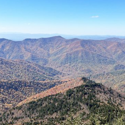 Mount Mitchell State Park