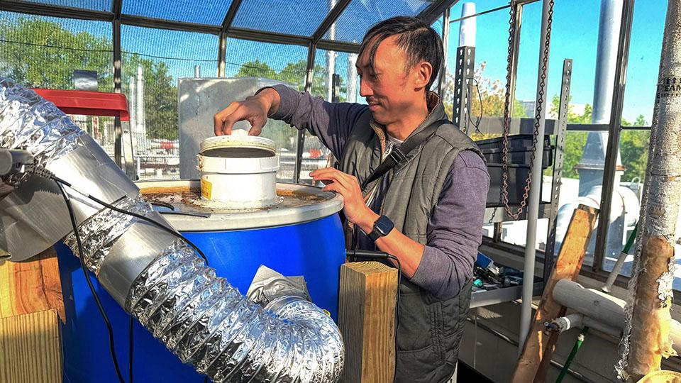Researcher standing in a greenhouse-like structure adjusts a blue barrel–based composting system equipped with insulated tubing, used for black soldier fly larvae composting.