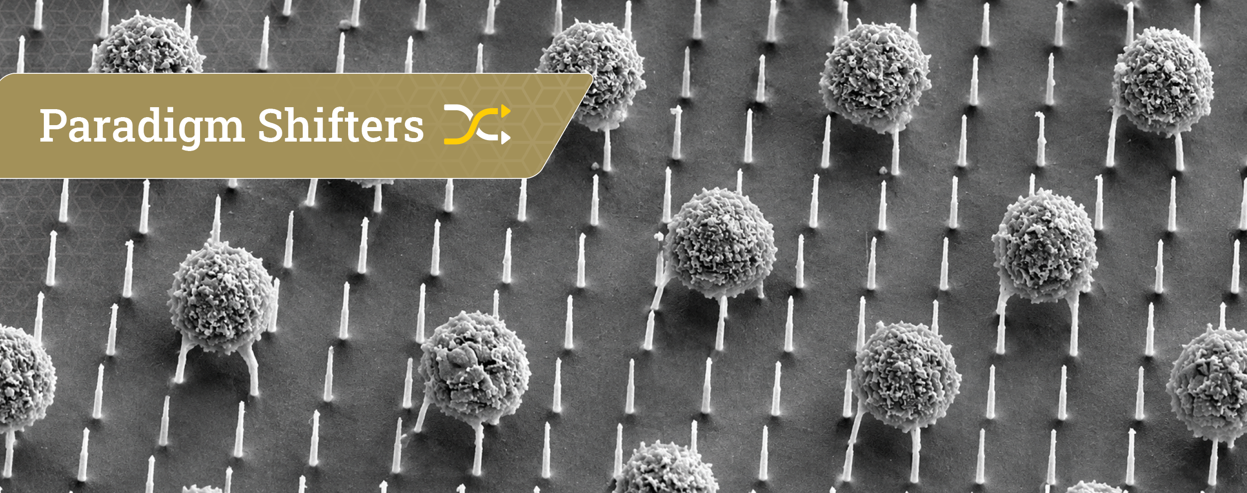 Banner graphic featuring a grayscale scanning electron microscope image of microscopic spherical cells interacting with a dense array of tiny vertical pillars. An overlay on the left displays the title "Paradigm Shifters" with a stylized yellow-and-white shift icon.