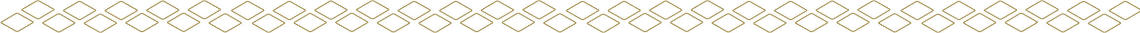 graohic element divider