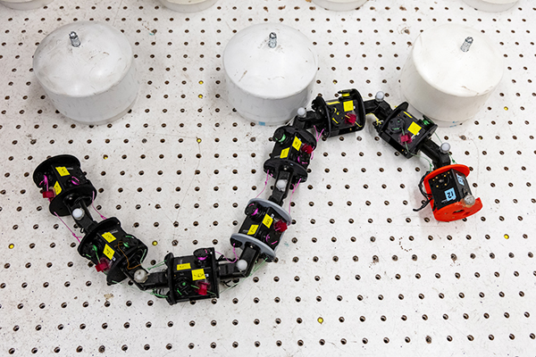 One of the robot prototypes under development in Dan Goldman's lab at Georgia Tech.