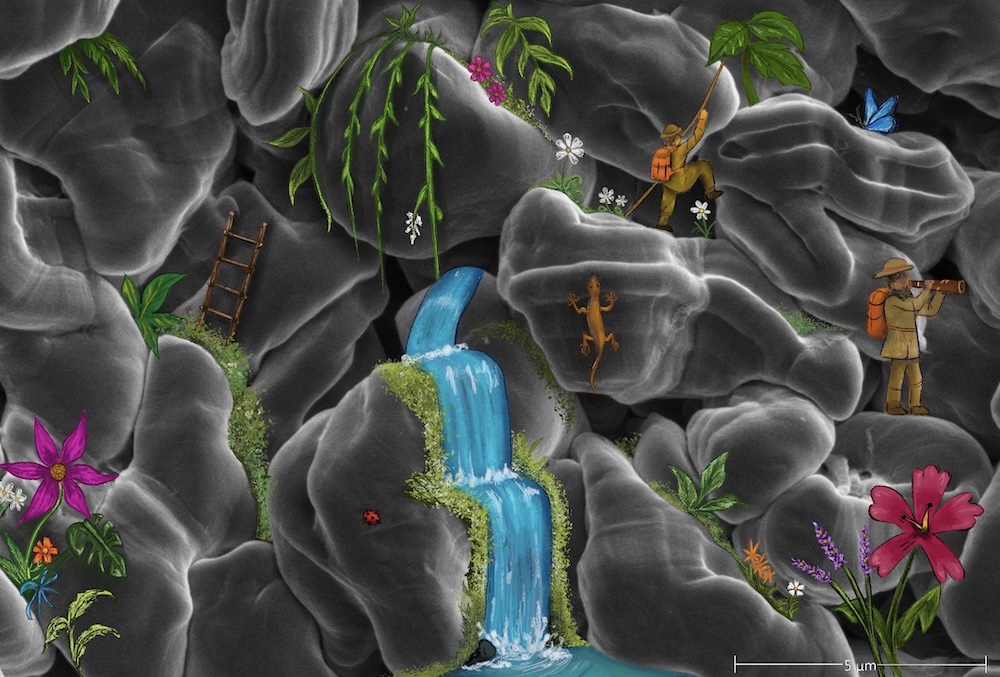 Scanning electron micrograph transformed into a miniature valley landscape, with illustrated waterfalls, vegetation, flowers, wildlife, explorers, and a 5-micrometer scale bar.