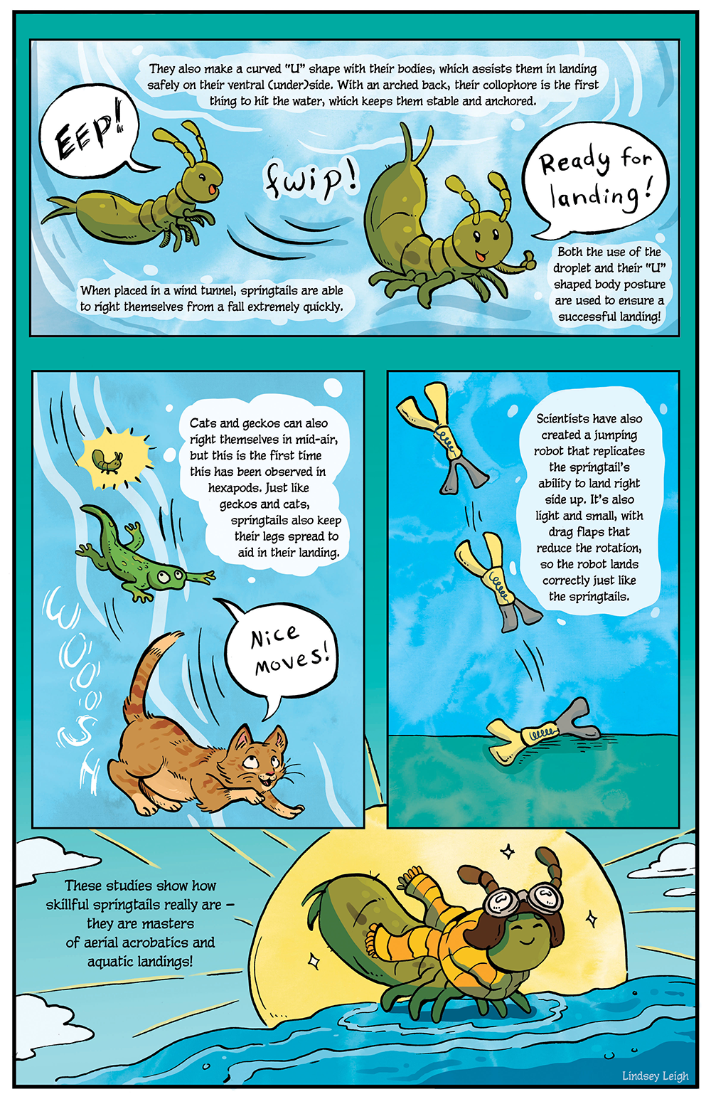 A comic illustration depicting the skillful springtail