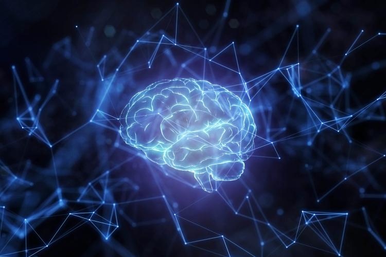 illustration of a brain