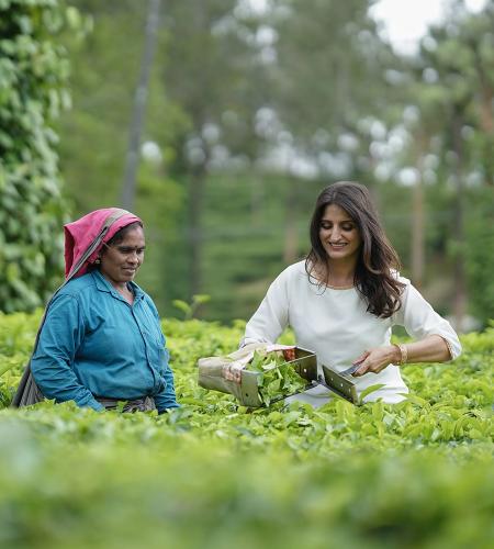 women in green field with one holding a basket