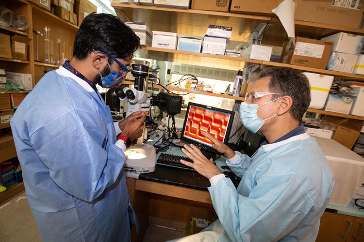 Researchers with the new microneedle
