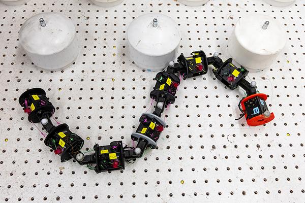 A simplified robot model used in the Goldman lab at Georgia Tech.