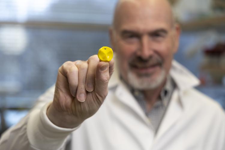 male researcher in a white lab coat holding a yellow 3D printed heart valve