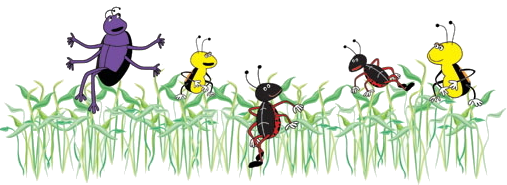 Bioengineering & Bioscience Unified Graduate Students (BBUGS)