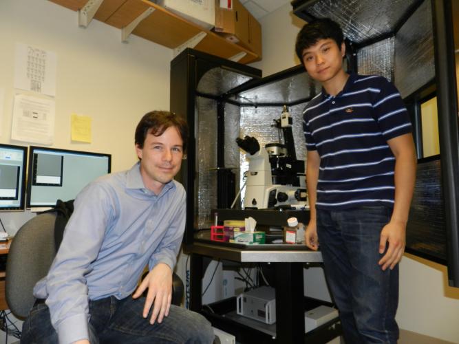 Todd Sulchek and Lin Fan