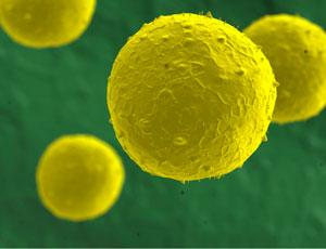 Regenerative Medicine