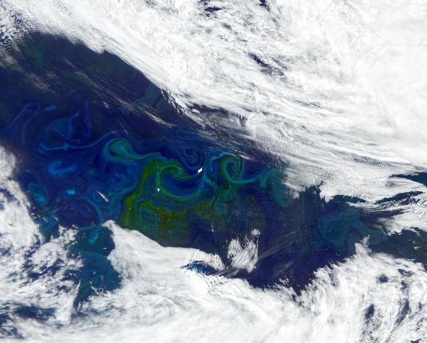 A satellite image of blooming phytoplankton, visible as green-tinted swirls, in the South Atlantic. Credit: NASA