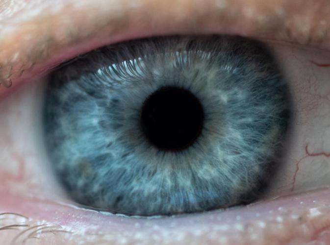 Close-up of eye