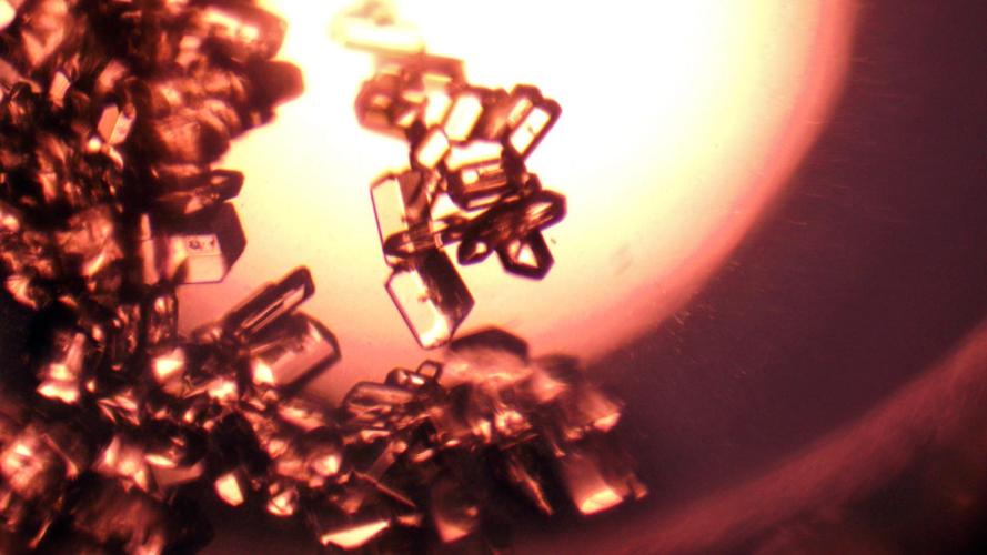 Glycine, one of the critical amino acids that the system coverts carbon dioxide into. (Image Credit: NASA)