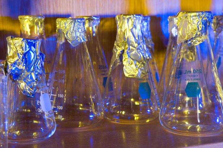 New Summer Course in Biotechnology & International Security