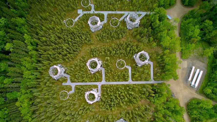 Yurt-like test chambers in a natural boreal spruce bog in northern Minnesota (provided).