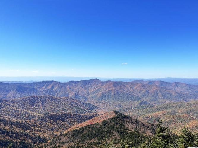 A range of tree-covered mountains stand beneath a bright blue sky