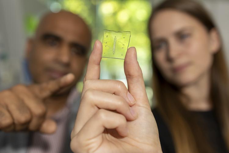 Researchers show off a lung-on-a-chip that has an immune system. Long term, this technology could lead to highly personalized medicine