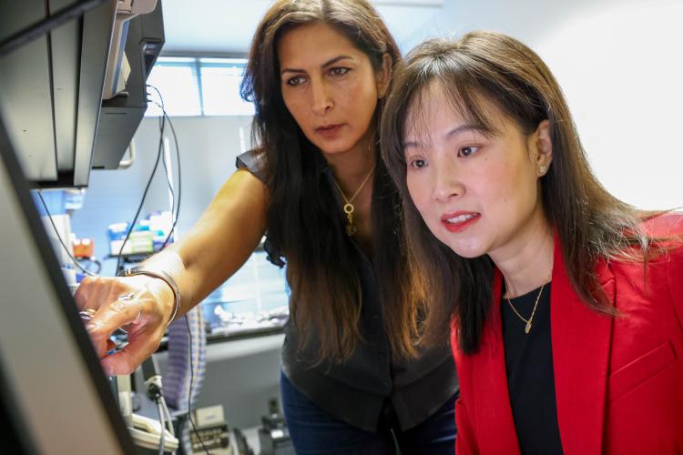 Nazanin Bassiri-Gharb, Harris Saunders, Jr. Chair and Professor in the Woodruff School and MSE, and Yao Xie, Coca-Cola Foundation Chair and Professor in ISyE.