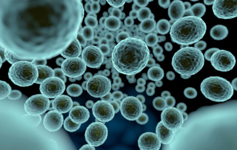 Several space missions are searching for extraterrestrial life, which could come in the form of microbes