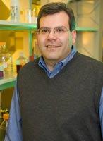 Prof. Santangelo