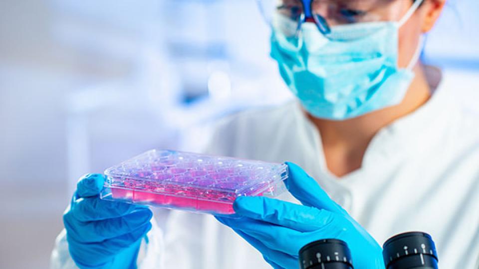 BioFabUSA project will improve the national supply chain for tissue engineered medical products.