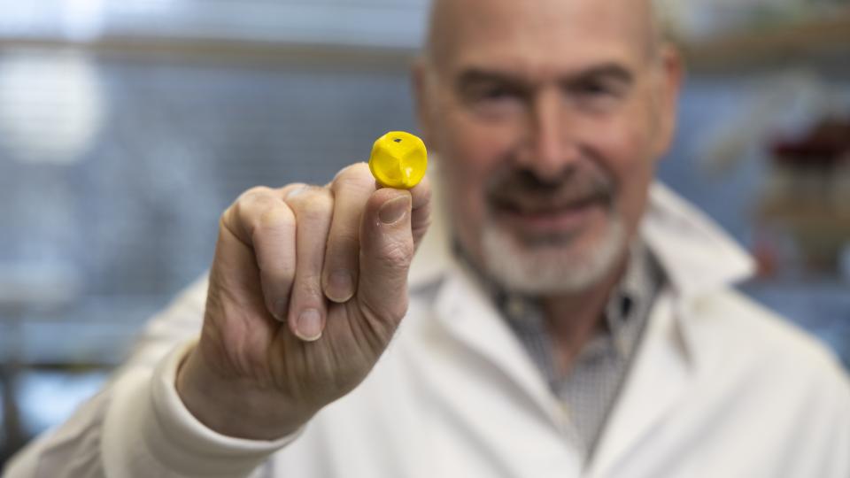 male researcher in a white lab coat holding a yellow 3D printed heart valve