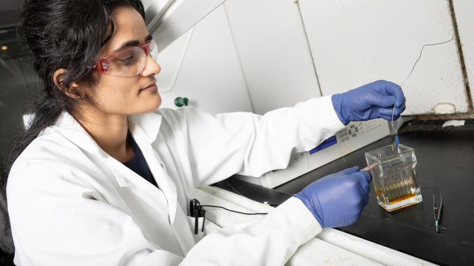 A researcher in lab coat, glasses, and gloves, positions electrodes above a small glass chamber. She's examining a small piece of stainless steel connected to one of the electrodes. (Photo: Candler Hobbs)