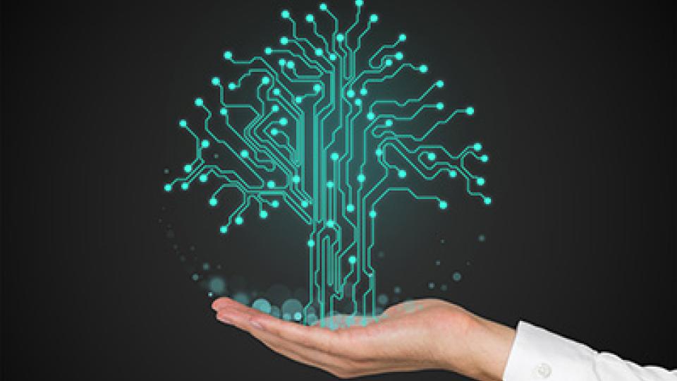 Graphic of a tree of data growing from a hand