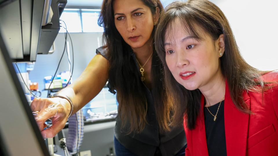 Nazanin Bassiri-Gharb, Harris Saunders, Jr. Chair and Professor in the Woodruff School and MSE, and Yao Xie, Coca-Cola Foundation Chair and Professor in ISyE.