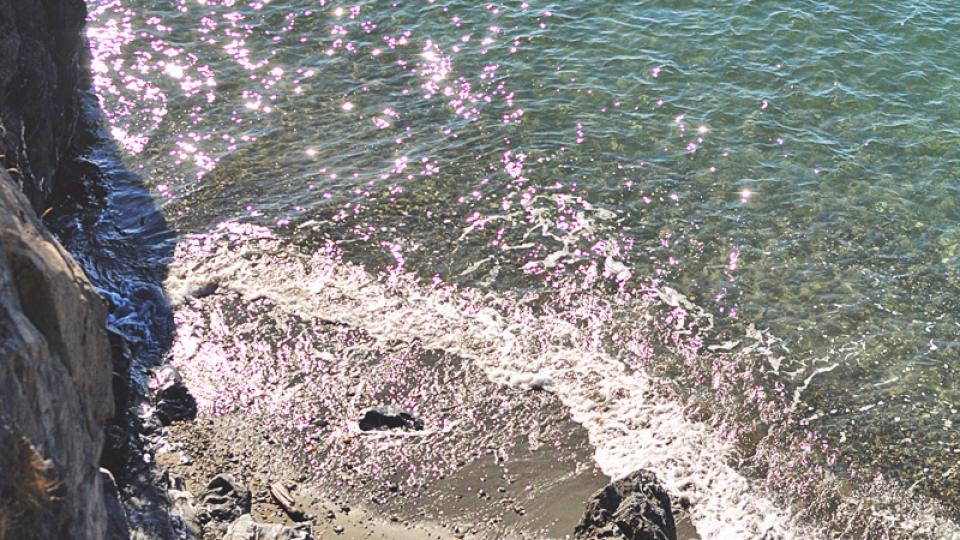 The sparkling shoreline along Deception Pass State Park in Oak Harbor, Washington