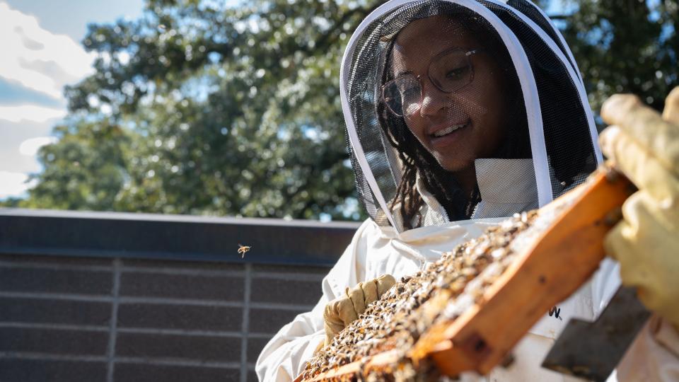 Georgia Tech's Janelle Dunlap conducts a hive inspection at the The Kendeda Building for Innovative Sustainable Design. 