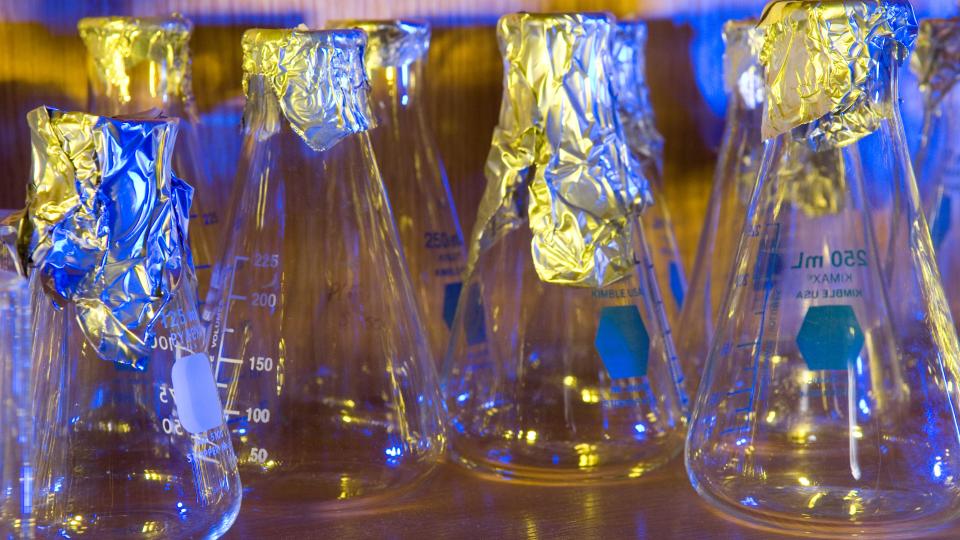 New Summer Course in Biotechnology & International Security