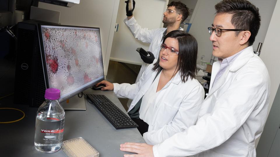 Lena Gamboa and Gabe Kwong look at colorized cells on a computer monitor while Ali Zamat loads samples into a cell counting device. (Photo: Candler Hobbs)