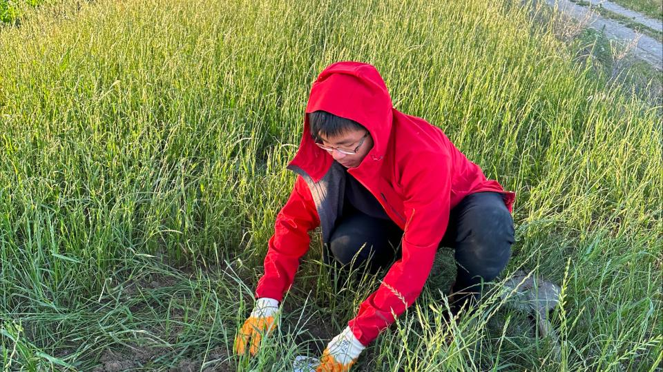 Grad student Phuc Mach places a node