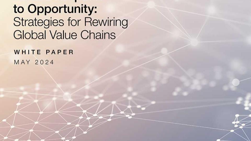 WEF From Disruption to Opportunity 2024