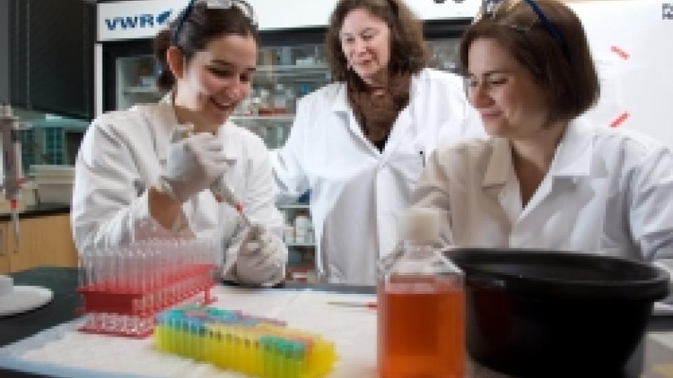 Barbara Boyan, PhD, Professor and Price Gilbert Jr. Chair in Tissue Engineering