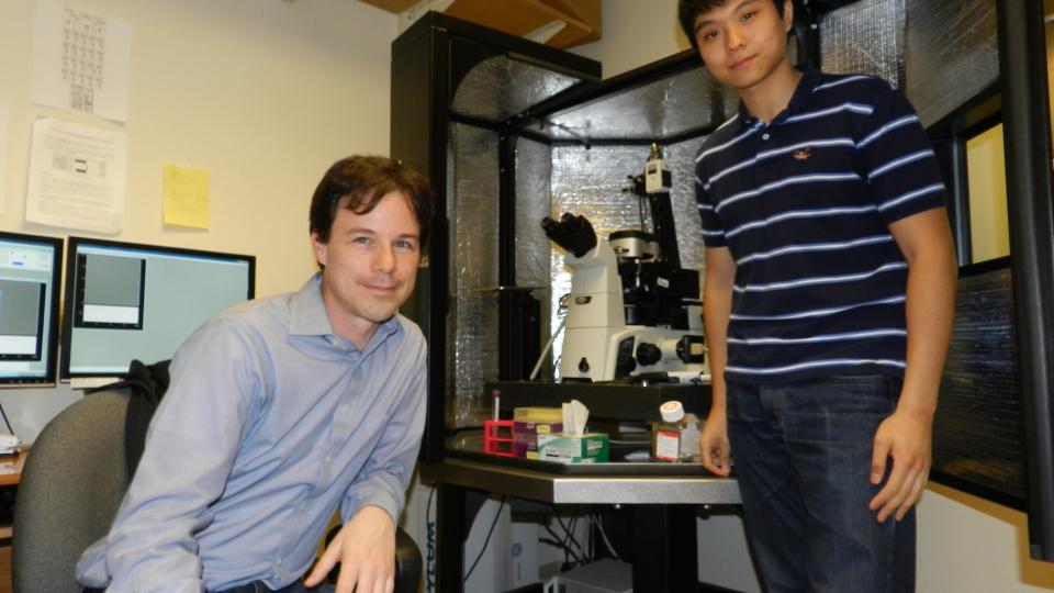 Todd Sulchek and Lin Fan