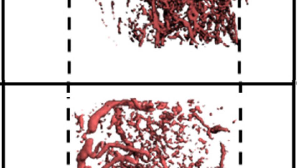 Guldberg Research Image