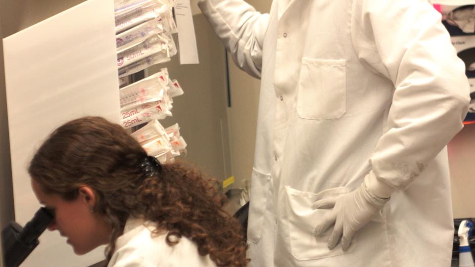 Katy Hammersmith, Petit Scholar, conducts research with mentor, Andres Bratt-Leal, in the Todd McDevitt laboratory