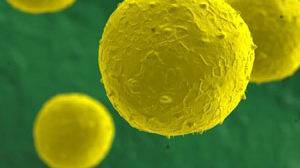 Regenerative Medicine