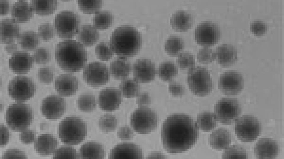 Stem cell bioprocessing