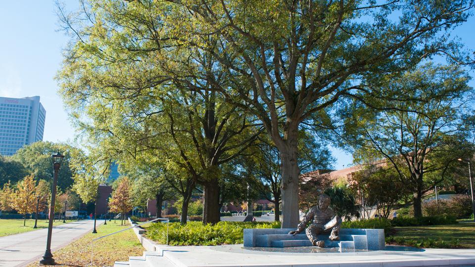 Trees around Einstein