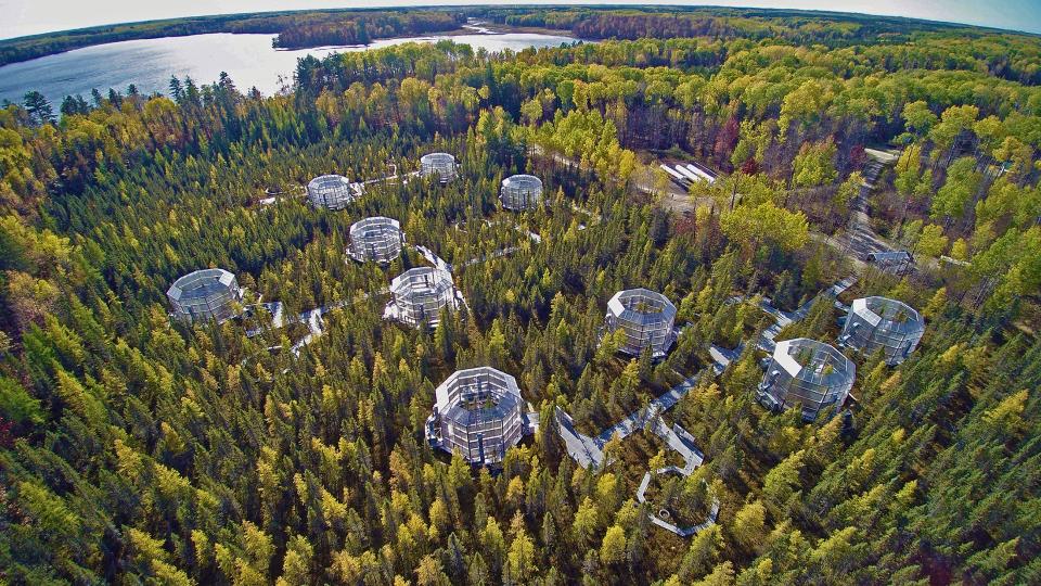 An aerial view of the SPRUCE enclosure.