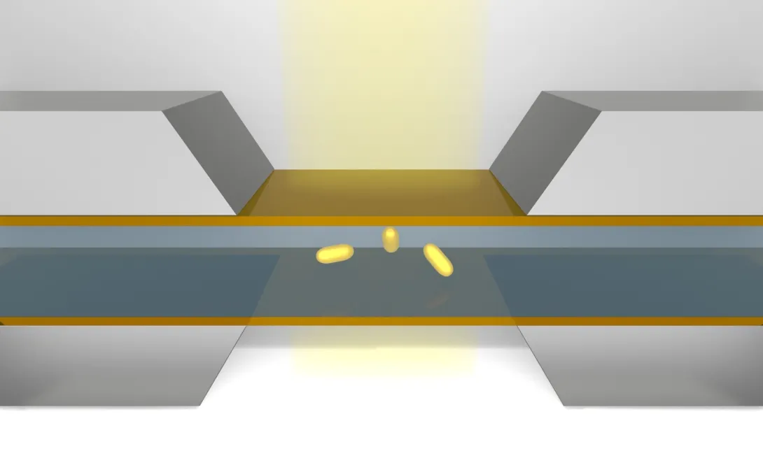<p>Schematic showing nanoparticles in the microfluidic chamber of liquid-phase transmission electron microscopy</p> Schematic showing nanoparticles in the microfluidic chamber of liquid-phase transmission electron microscopy