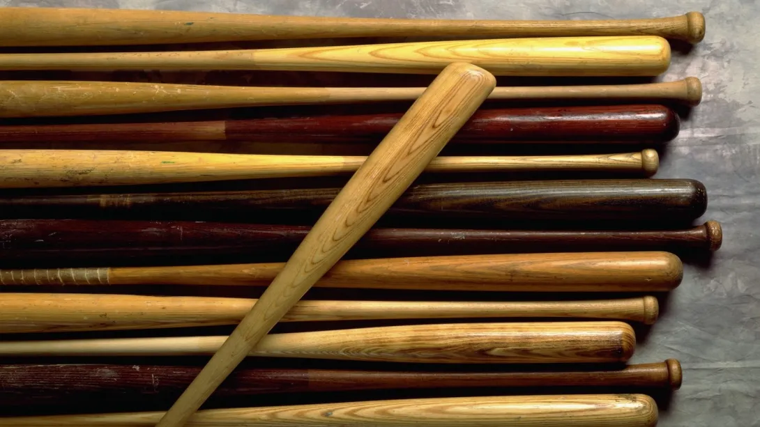 A pile of baseball bats