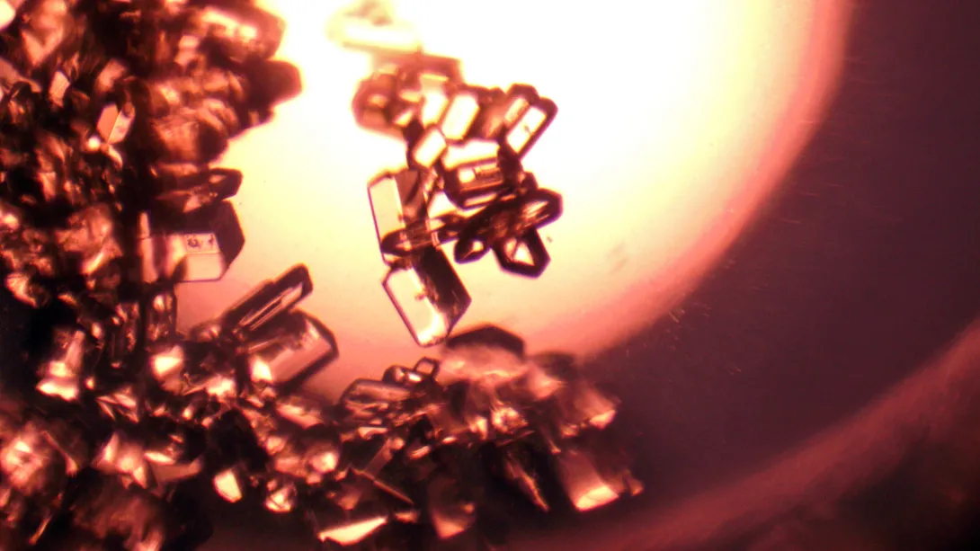 Glycine, one of the critical amino acids that the system coverts carbon dioxide into. (Image Credit: NASA)