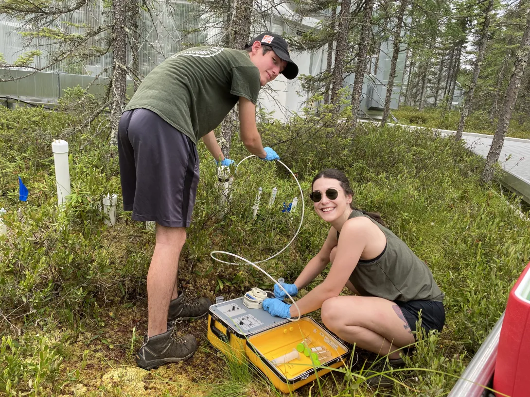 Ph.D. student Katherine Duchesneau sampling porewater inside an experimental SPRUCE chamber.