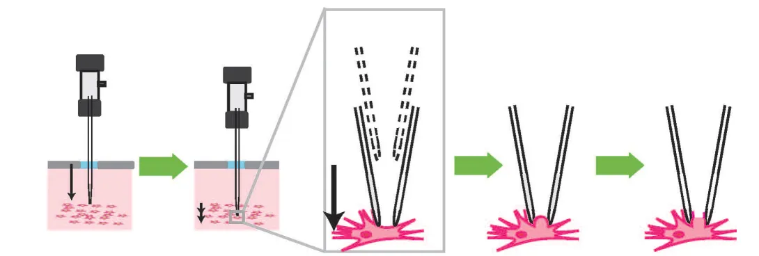 Whole-cell patching robot schematic